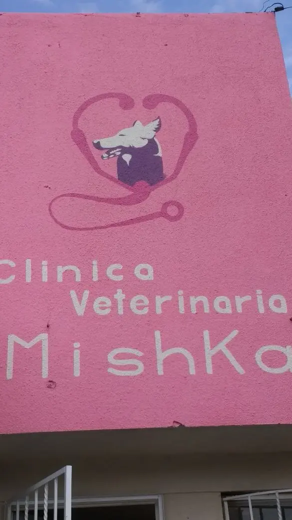 Veterinaria y Perruqueria Mishka
