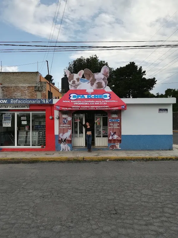 Hospital Veterinario Spa K'nes