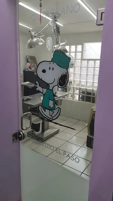 Clínica Veterinaria Pek Miztun