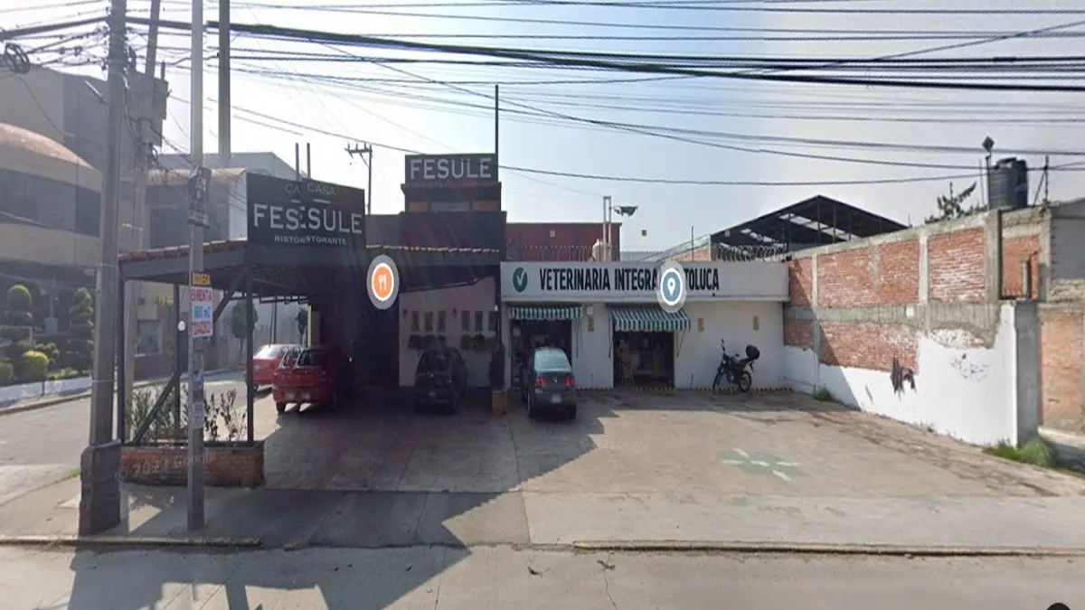 Veterinaria Integral de Toluca