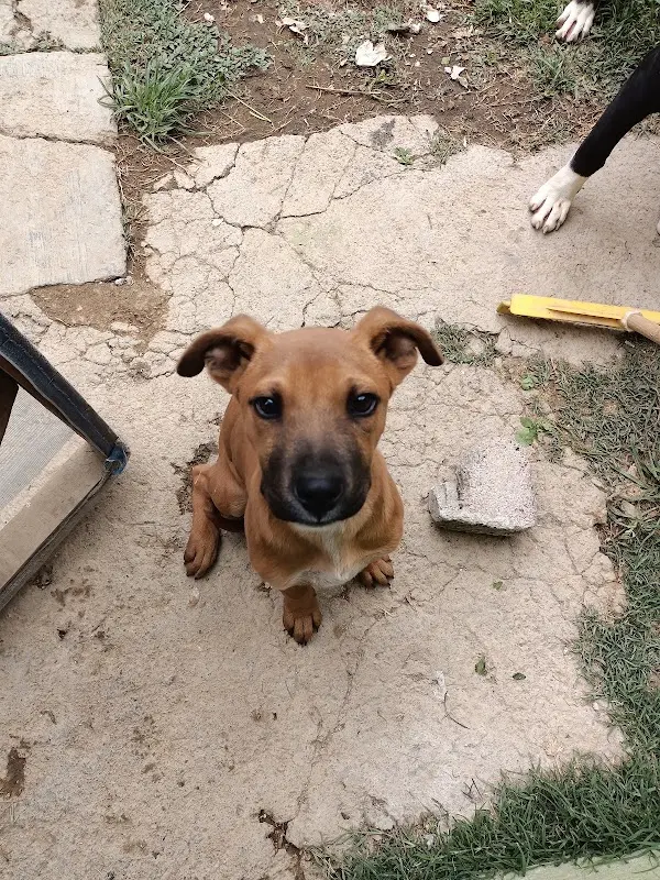 Clínica Veterinaria Vet San