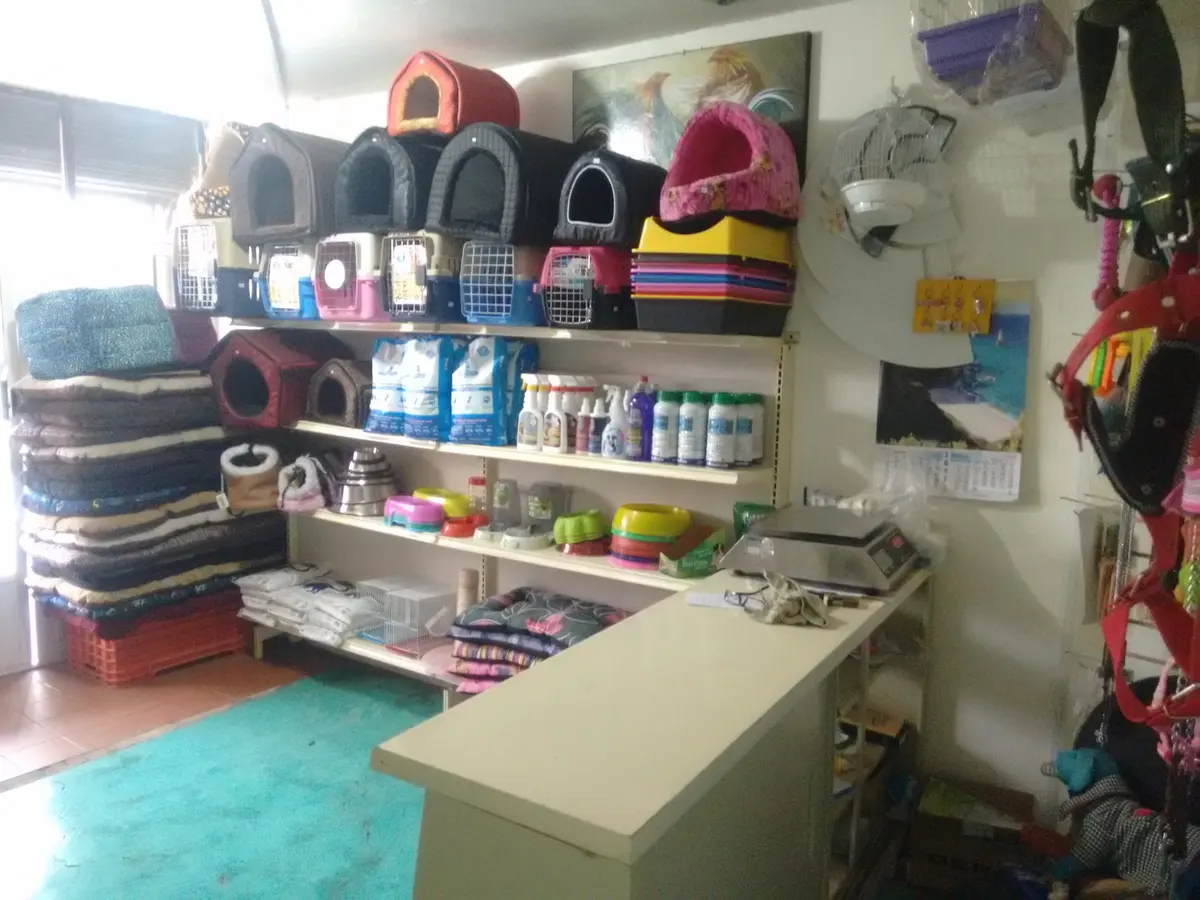 Veterinaria Dog Center