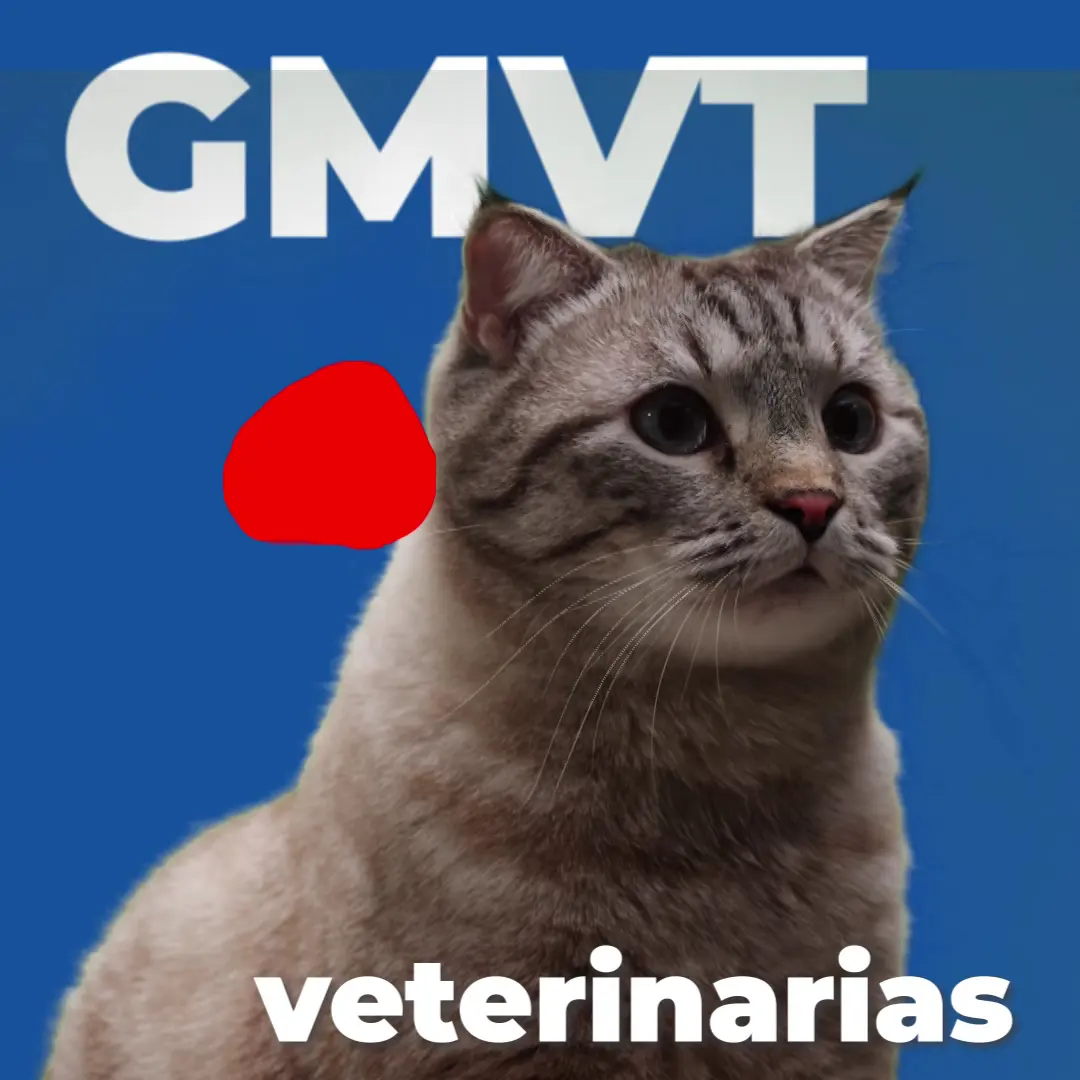 GMVT - Clínica Médica Veterinaria - Plaza Sienna — foto 3 de 4