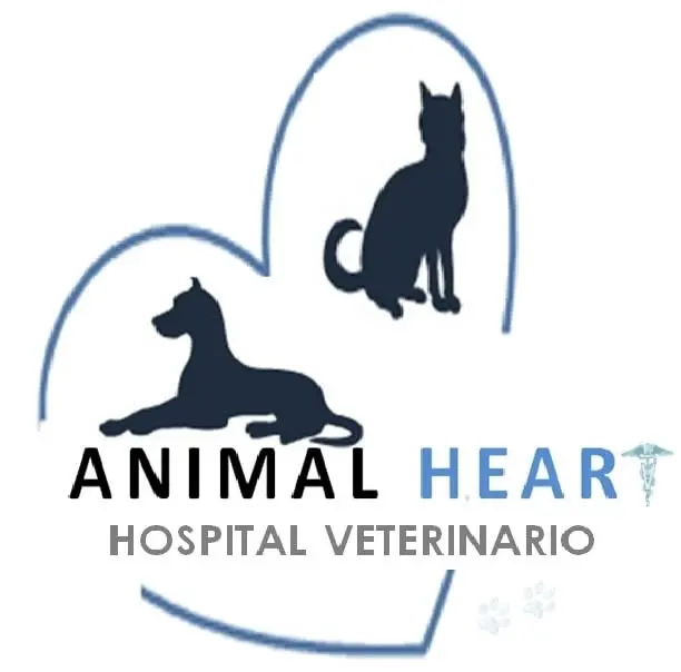 Hospital Veterinario "Animal Heart"