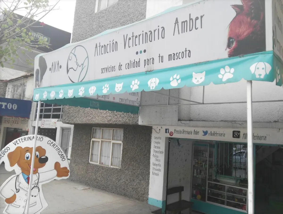 Atención Veterinaria Amber — foto 3 de 3