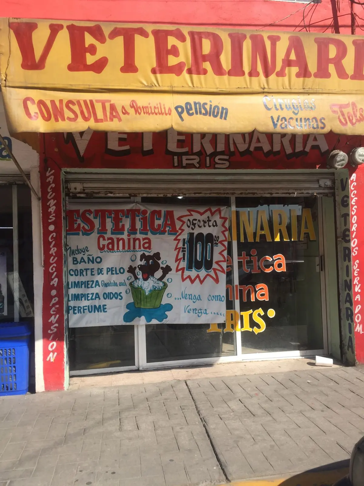 Clinica veterinaria “Iris” — foto 3 de 3