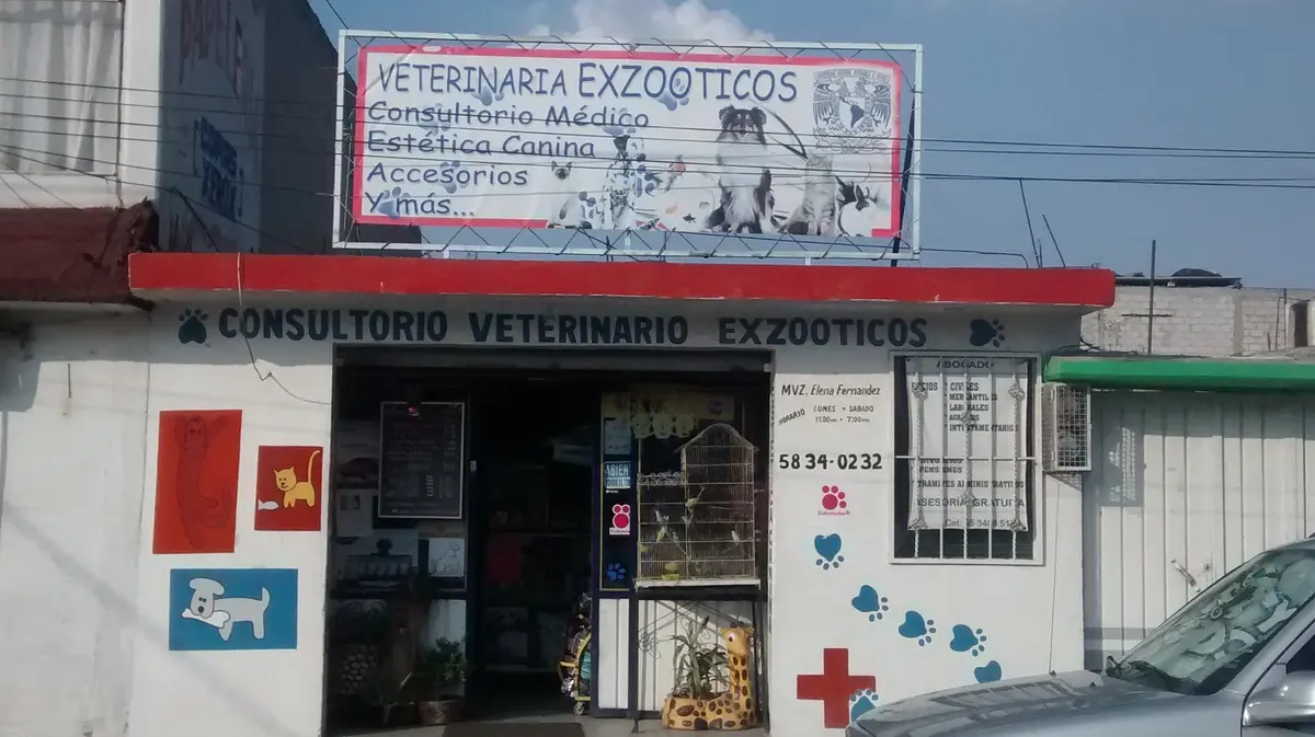 Veterinaria Exzooticos