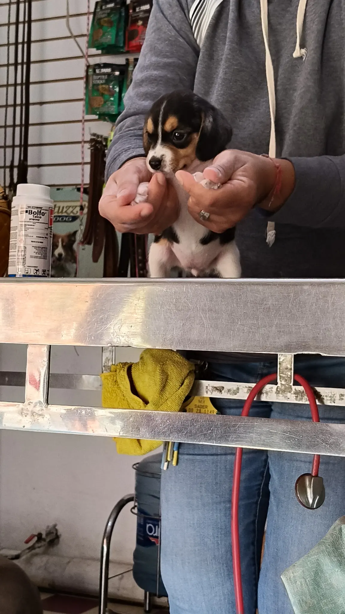 Veterinaria TITICCI