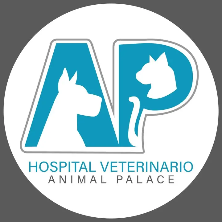 Hospital Veterinario Animal Palace Urgencias Veterinarias 24 Horas