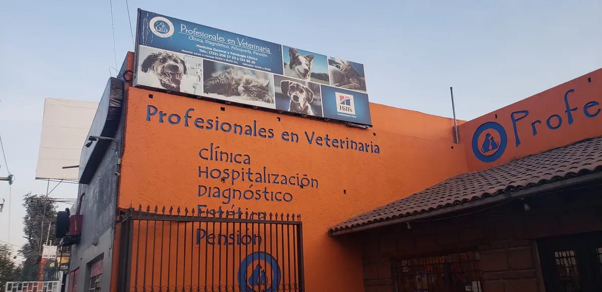 PROFESIONALES EN VETERINARIA David Alejo