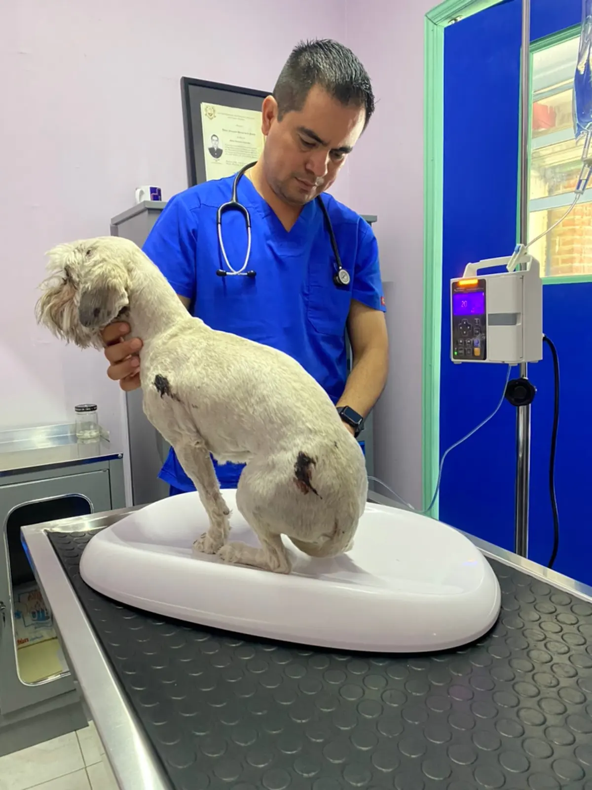 Veterinaria Y Estetica Canina "Los Pastores" Suc. Huehuetoca