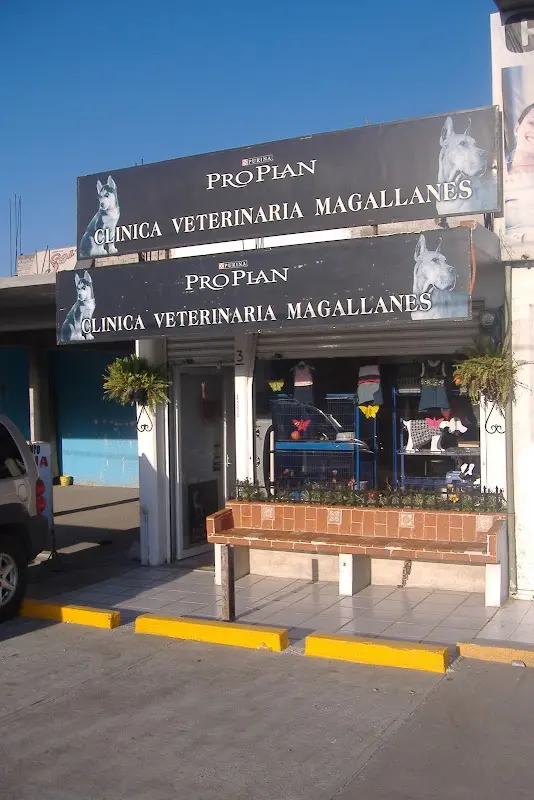 Clínica Veterinaria MAGALLANES — foto 1 de 1