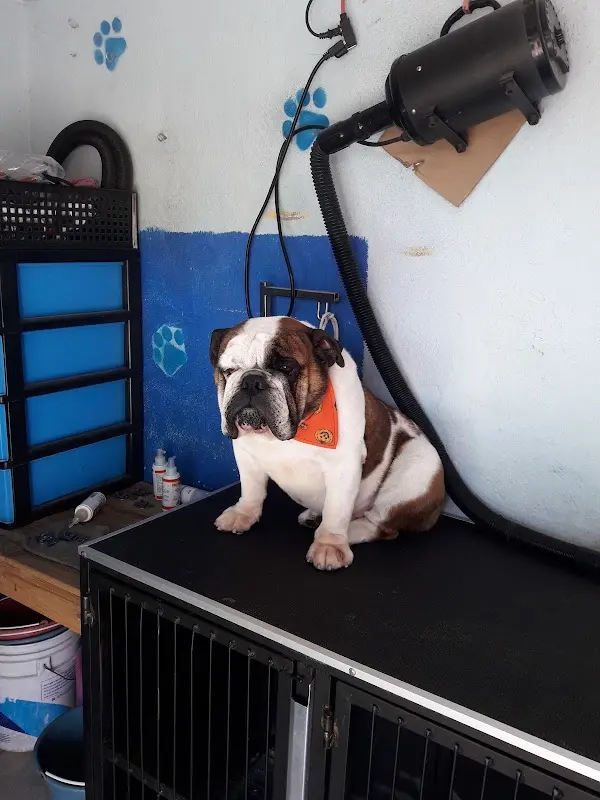 Veterinaria Del valle