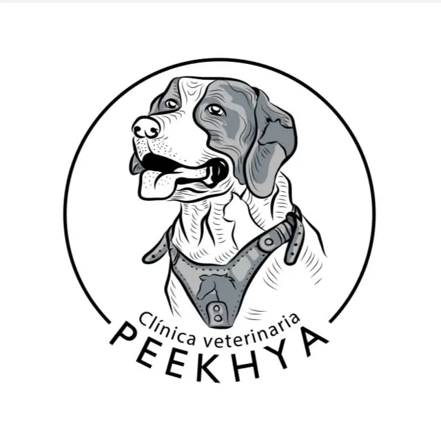 Veterinaria PEEKHYA
