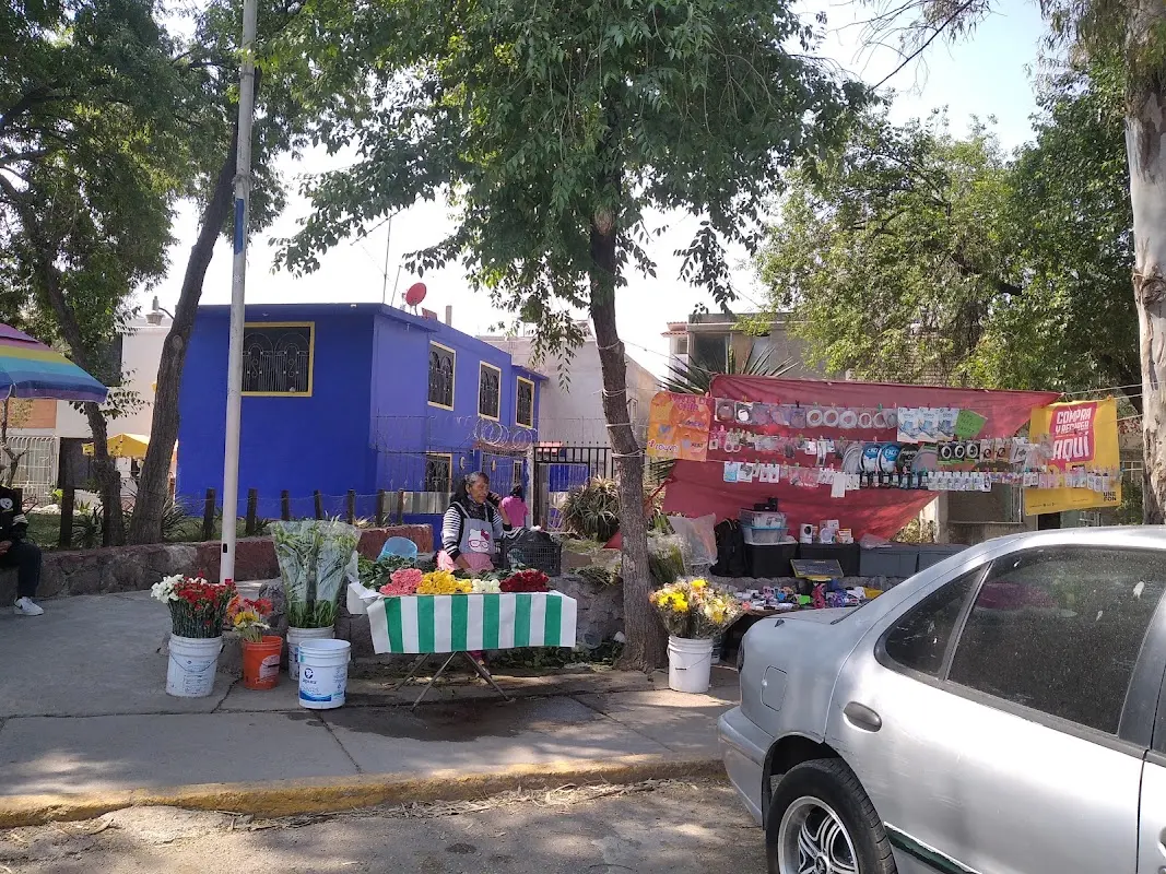 Todo un mundo para tus mascotas