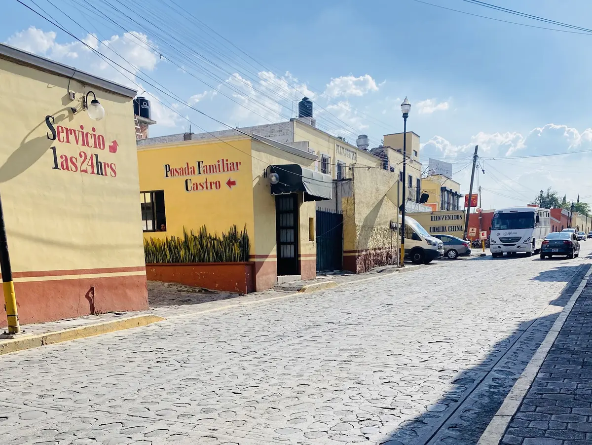 Veterinaria "Lenuvet" jose garduño