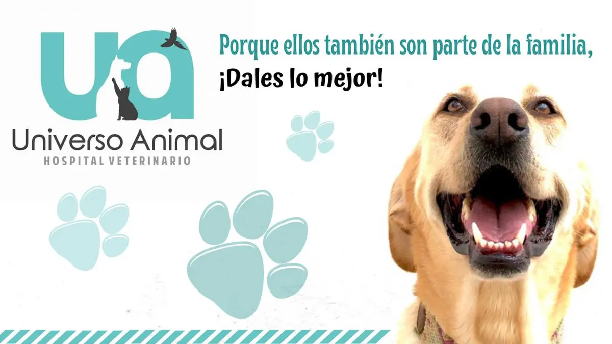 Hospital Veterinario Universo Animal