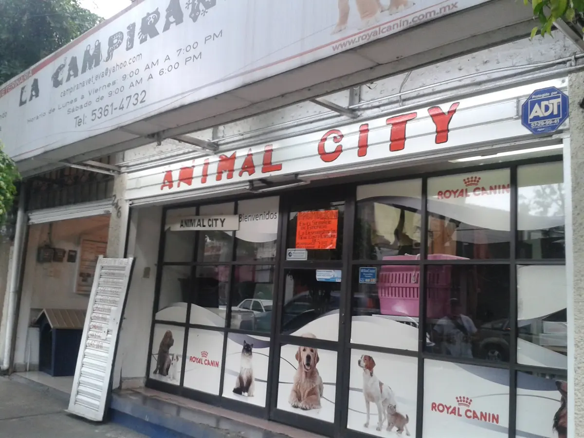 Animal City México — foto 2 de 3