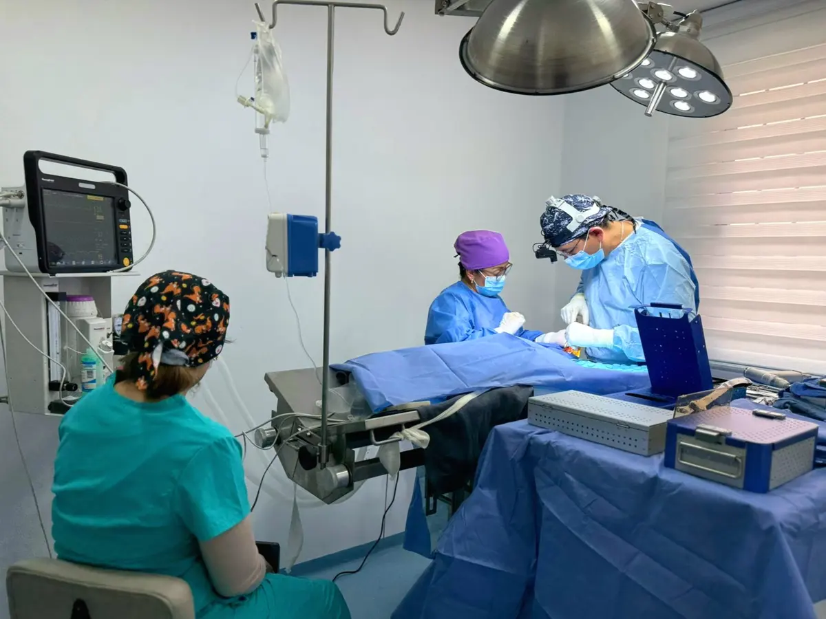 Centro Veterinario Nahuii
