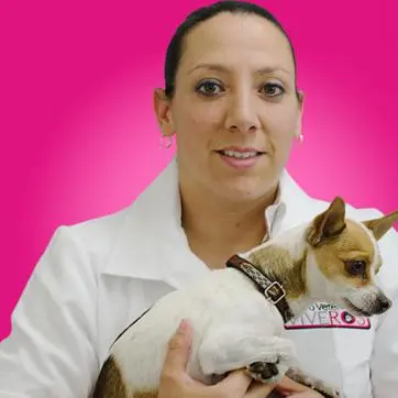 Centro Veterinario Viveros (urgencias) 24 Horas