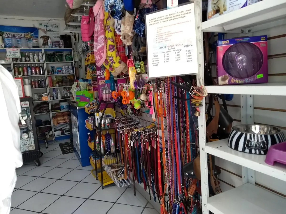 Clinipets Caracoles — foto 2 de 3