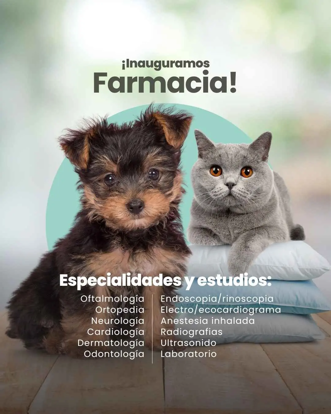 Dog Mountain pet clinic sucursal Tlalnepantla