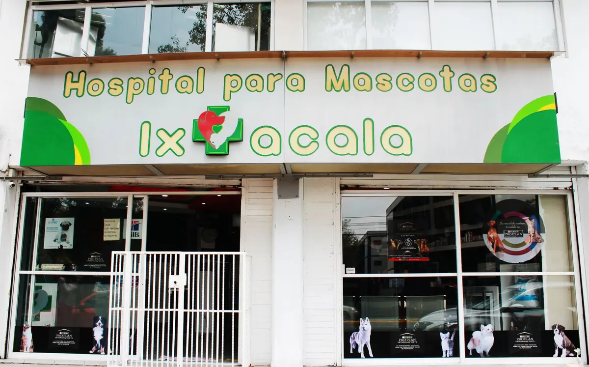 Hospital Para Mascotas Ixtacala