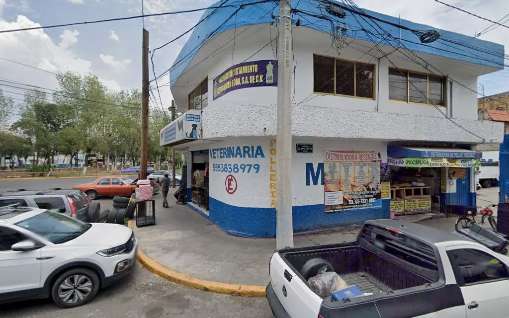 Servicios veterinarios Iztacala