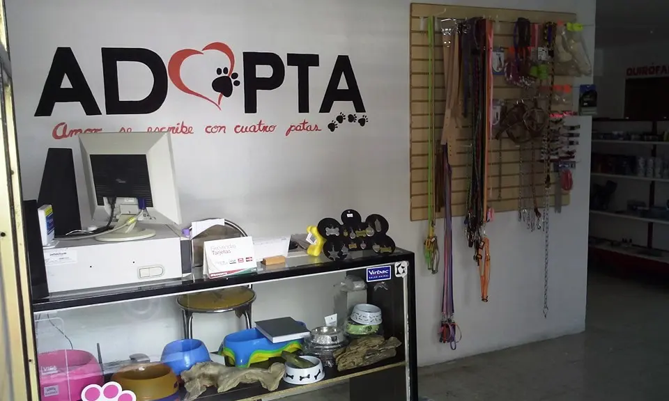 Veterinaria ANIMALL