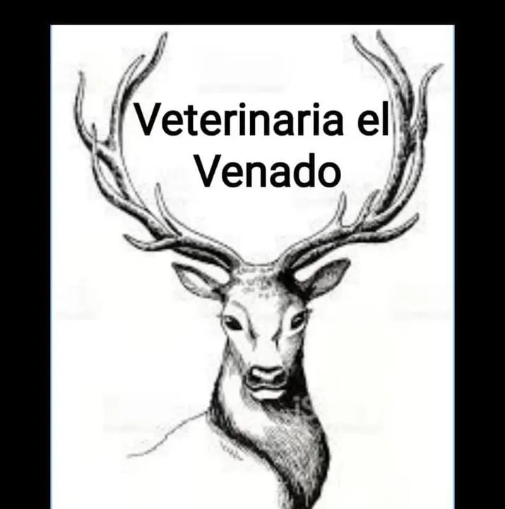 Veterinaria El venado