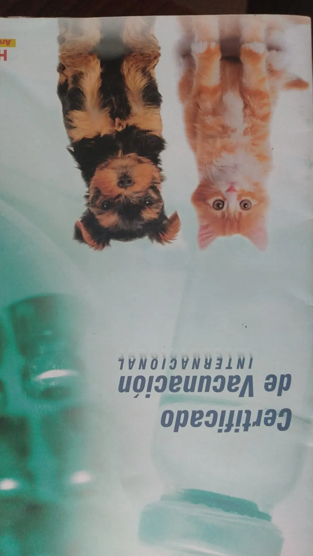 Veterinaria Vet's Pets — foto 3 de 3