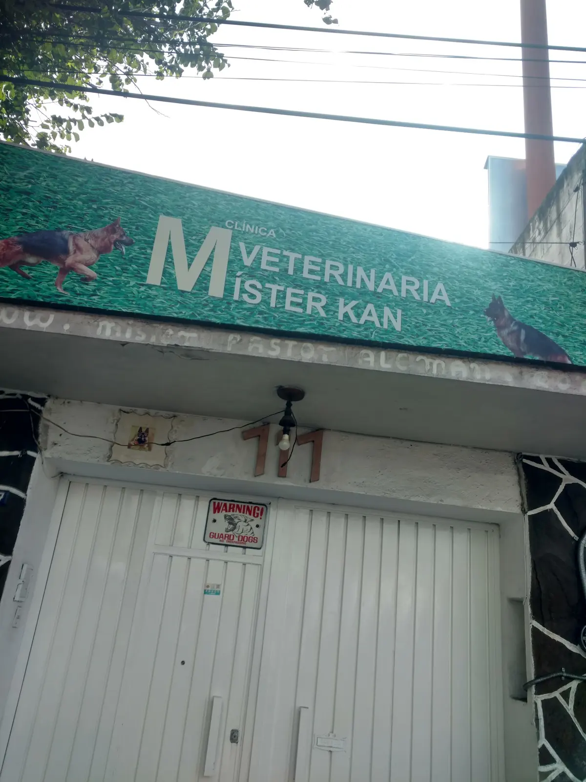 Clínica Veterinaria Mister Kan — foto 3 de 3