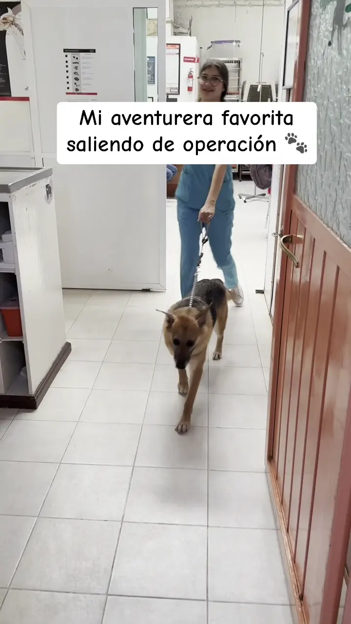 Hospital Animal's — foto 2 de 3