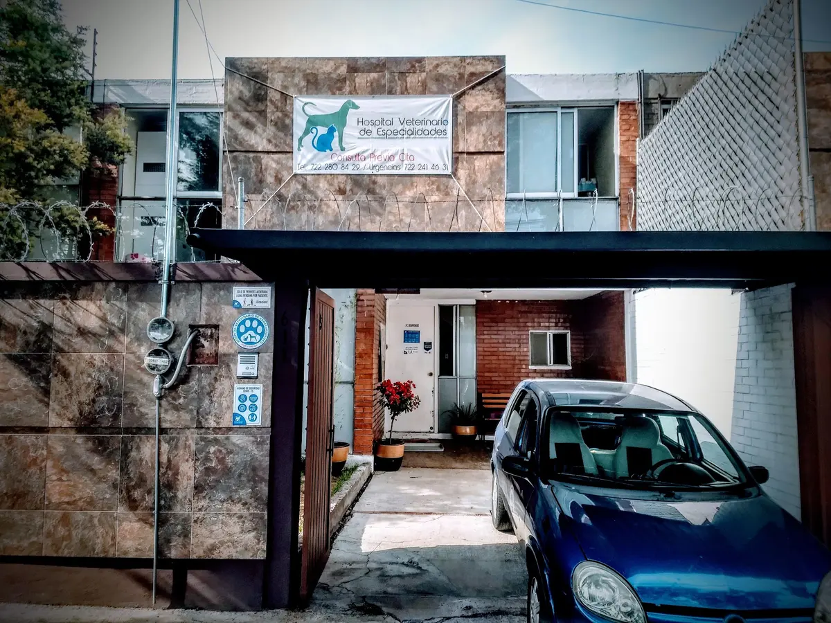 Hospital Veterinario de Especialidades