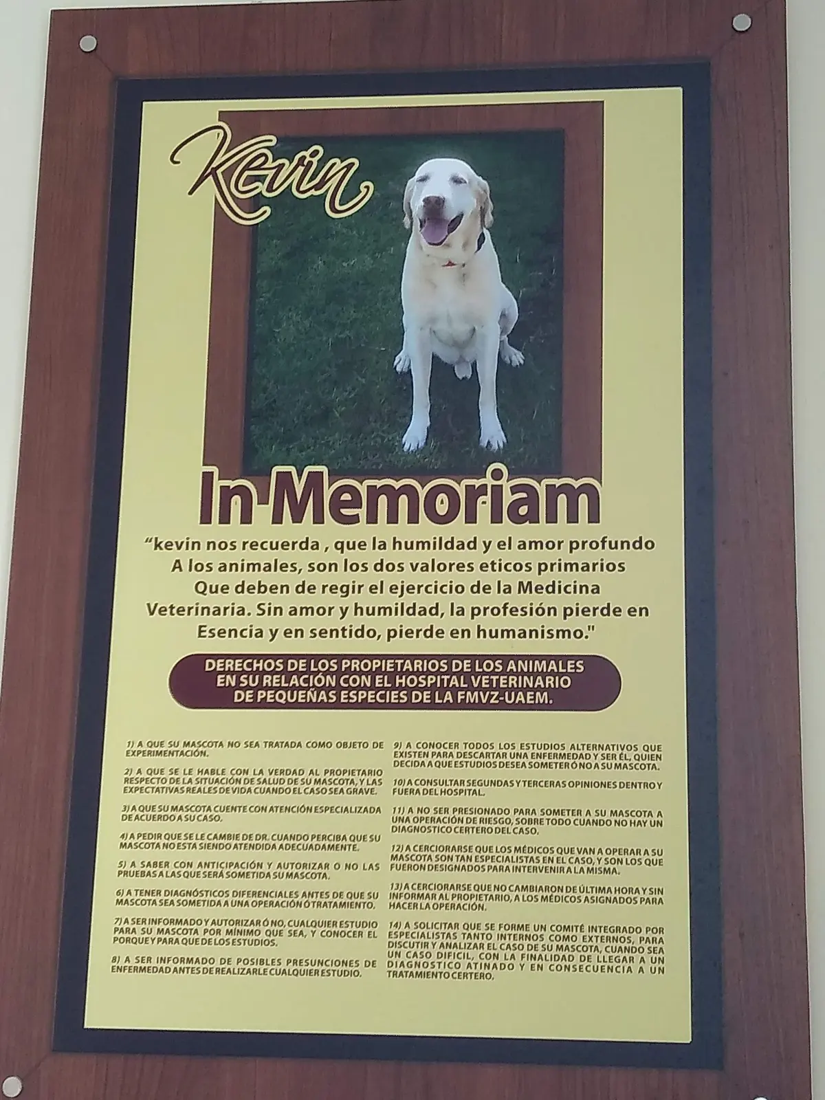 Hospital Veterinario de Pequeñas Especies de la Universidad Autonoma del Estado de México