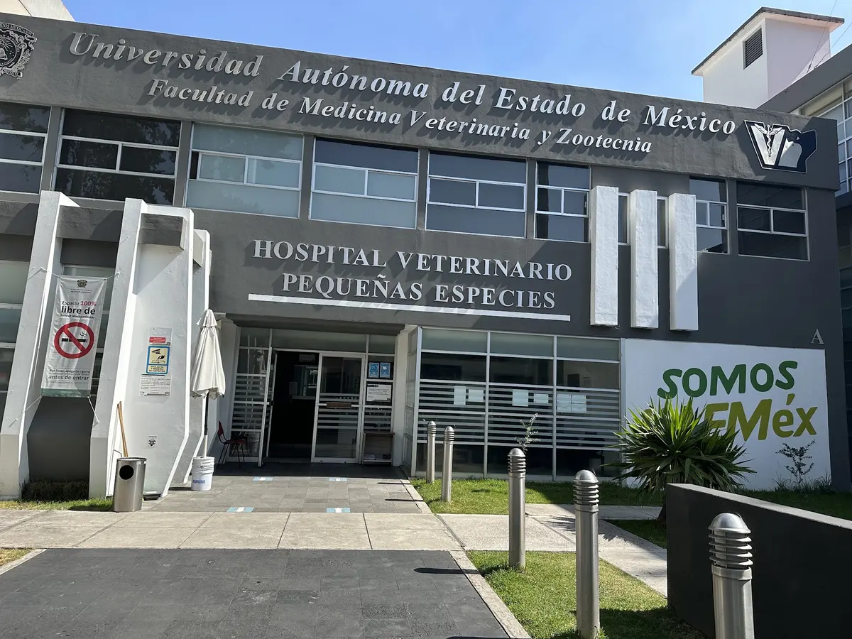 Hospital Veterinario de Pequeñas Especies de la Universidad Autonoma del Estado de México — foto 2 de 3