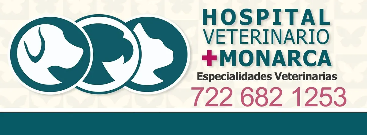 Hospital Veterinario Monarca