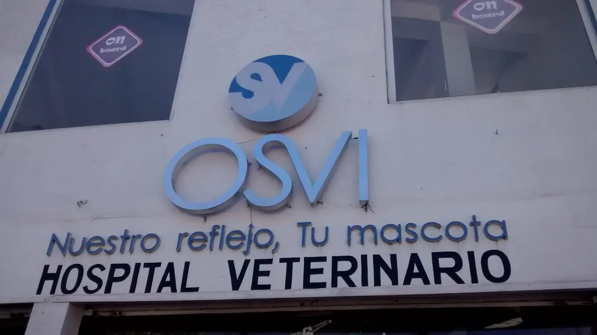 Hospital Veterinario Osvi
