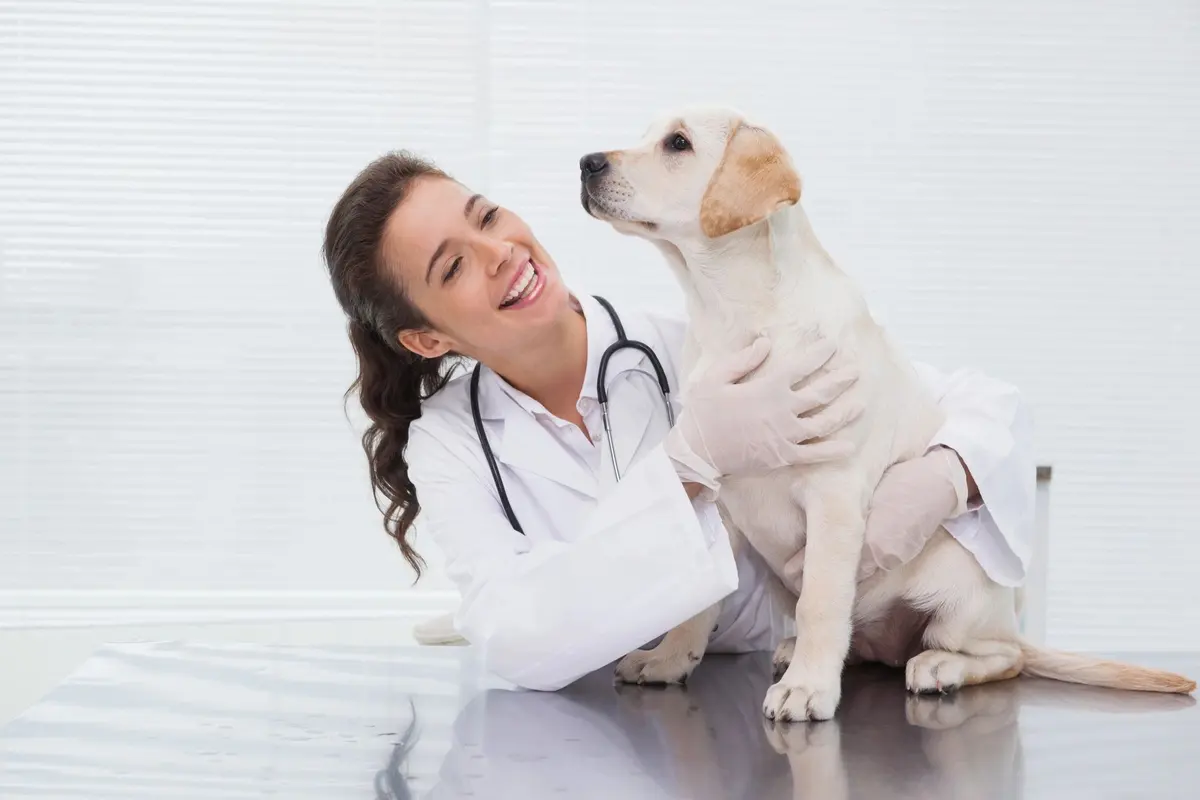 Veteria Tomografías para Mascotas 24 horas