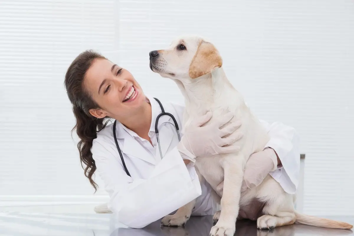 Veterinaria Hogar Mascota — foto 3 de 3