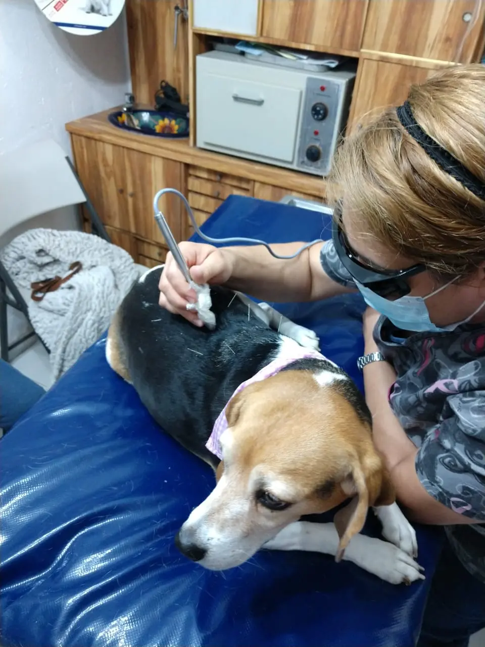 Clínica Veterinaria "Estrella"