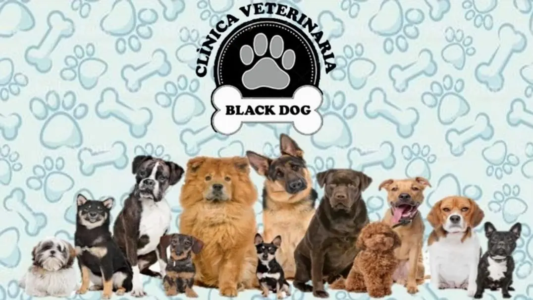 Clínica Veterinaria Black Dog