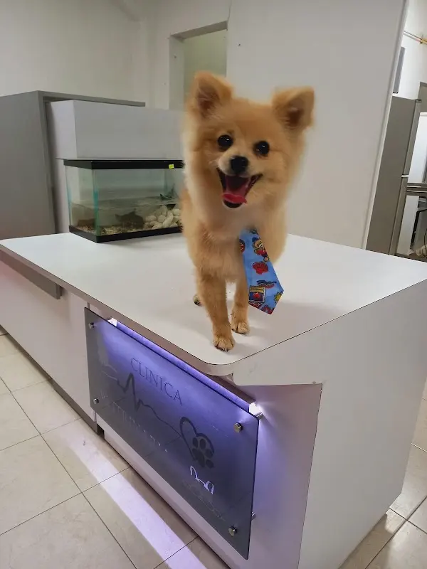 Clínica Veterinaria RossVet