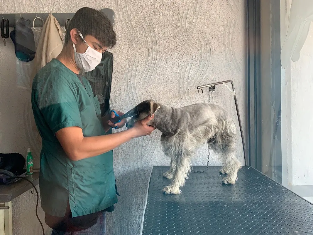 CLÍNICA VETERINARIA Y ACUARIO "NORBAC"