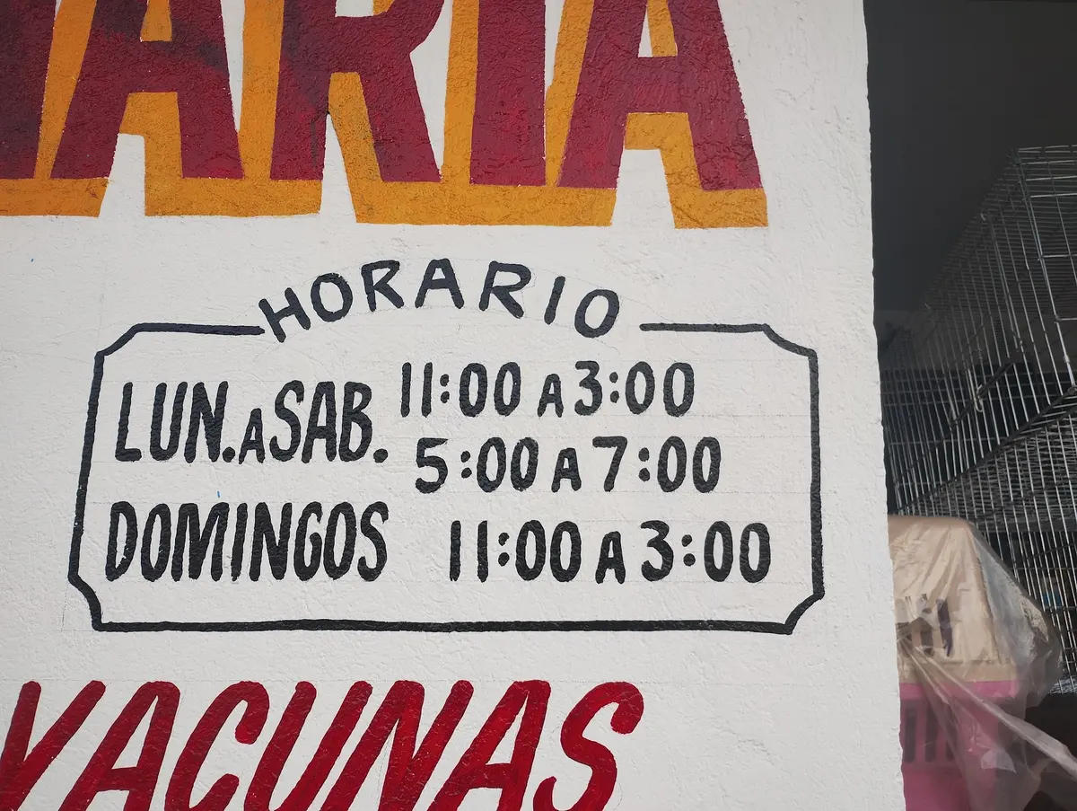 EL ARCA DE NOE-MI