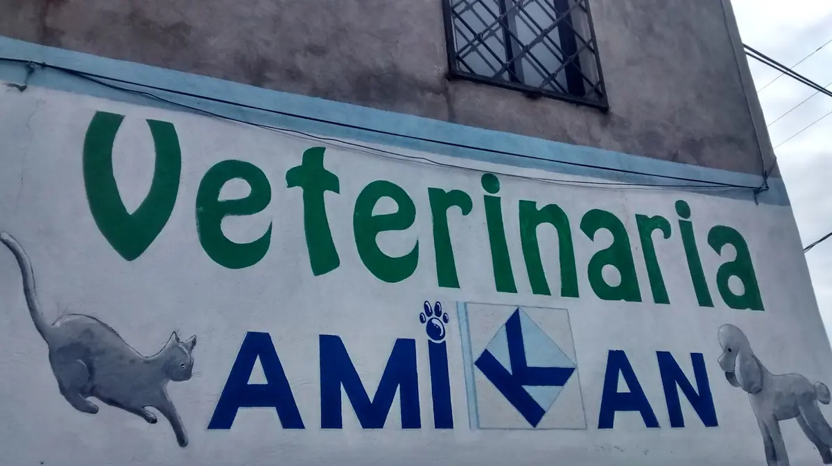 Amikan — foto 2 de 2