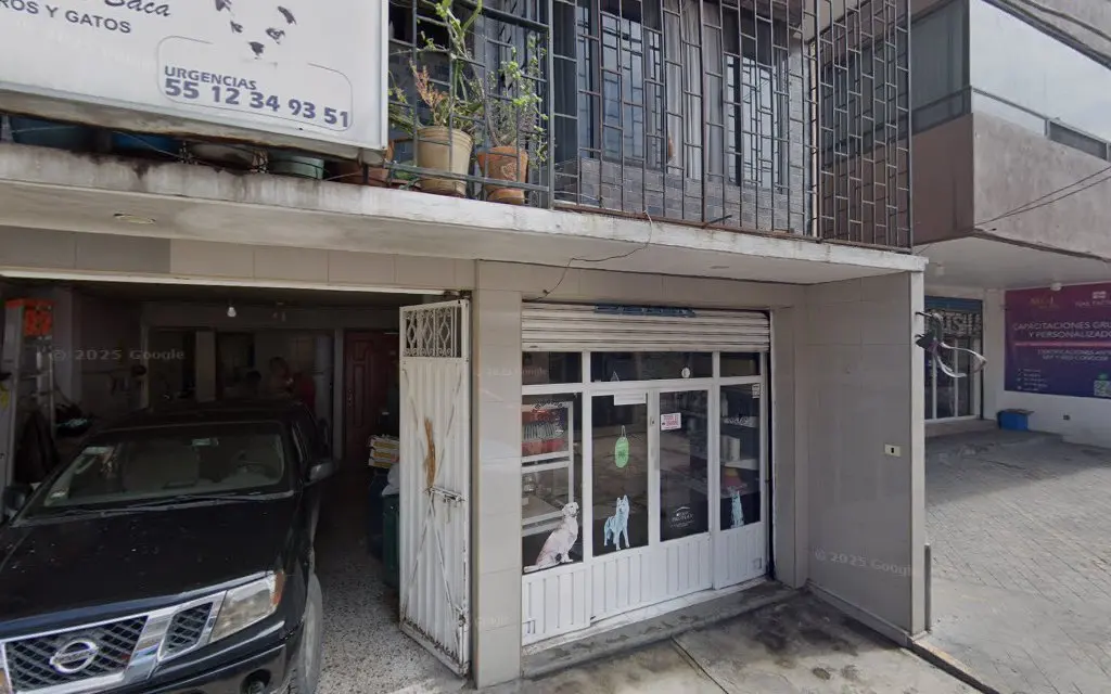 CLINICA VETERINARIA BELEN