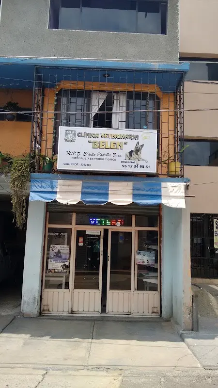 CLINICA VETERINARIA BELEN — foto 2 de 2