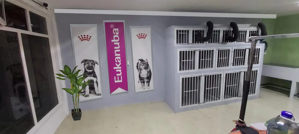 ZUmascota / Hospital Veterinario & Eestética Canina