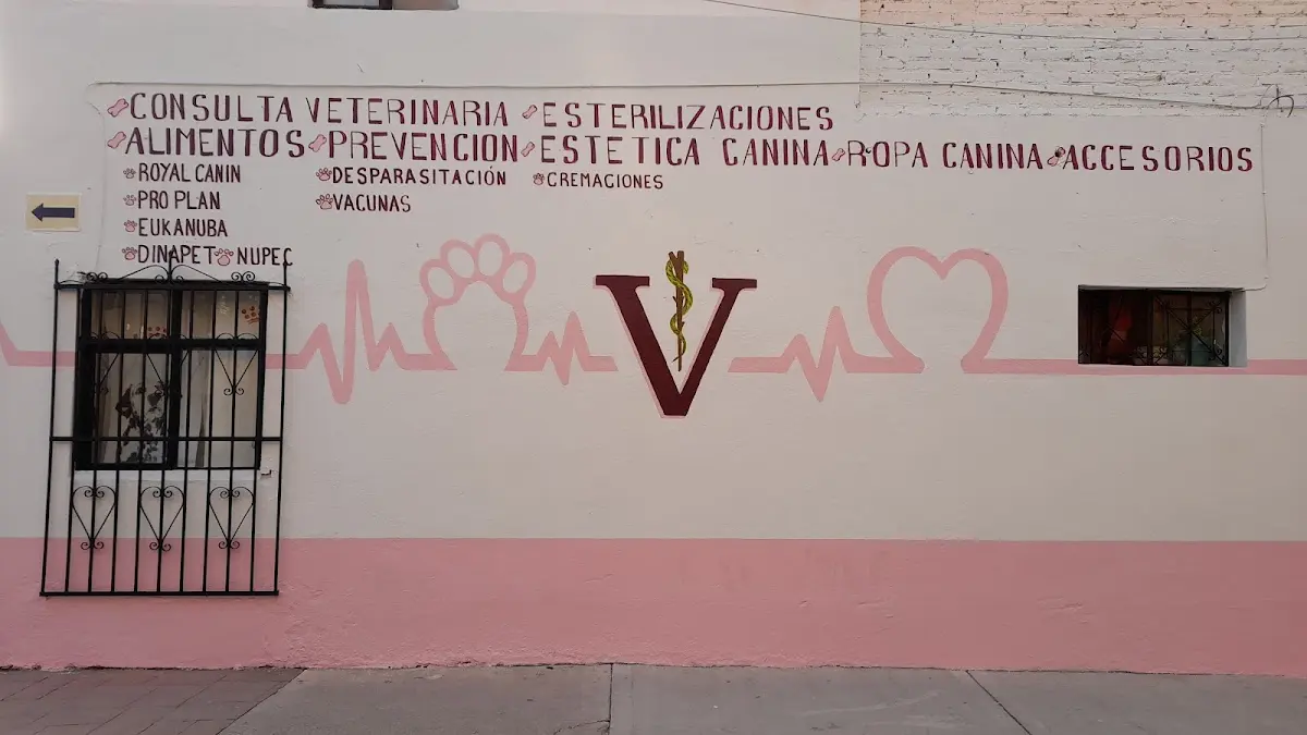 VETERINARIA VILLEGAS